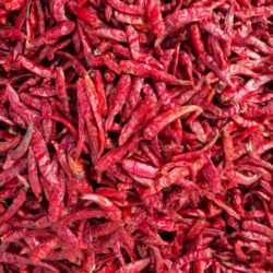 cv-sinar-jaya-agro-gemilang-dry chilli