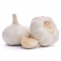 cv-sinar-jaya-agro-gemilang-garlic